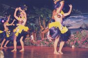 036-Hawaiian Dance Show